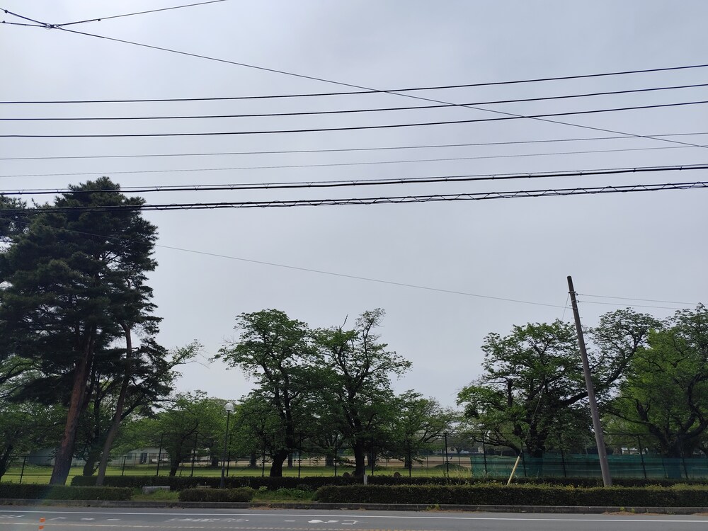 詐欺に遭ってしまった…
