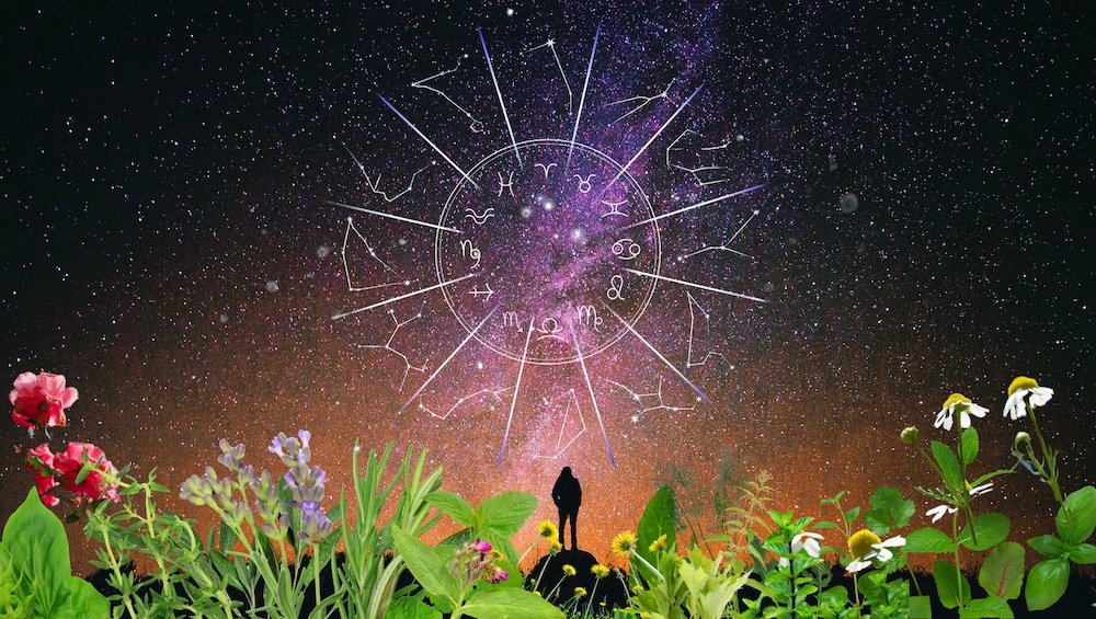 🌕 宇宙とつながる星座別ハーブの魔法