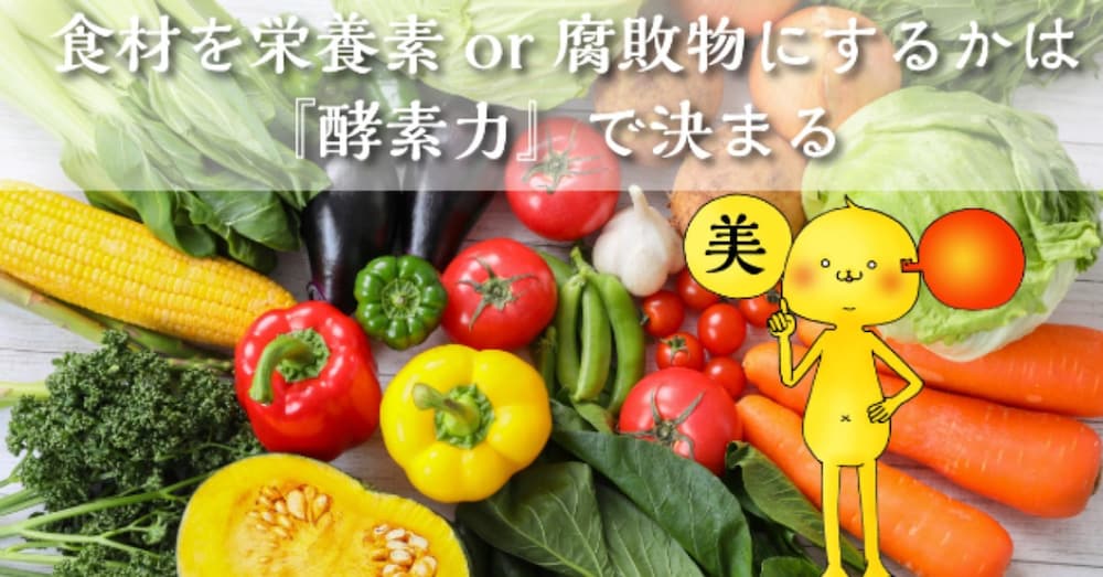 栄養素を体内で活かすも殺すも"酵素"次第 消化酵素の活性に絶対必須の３条件