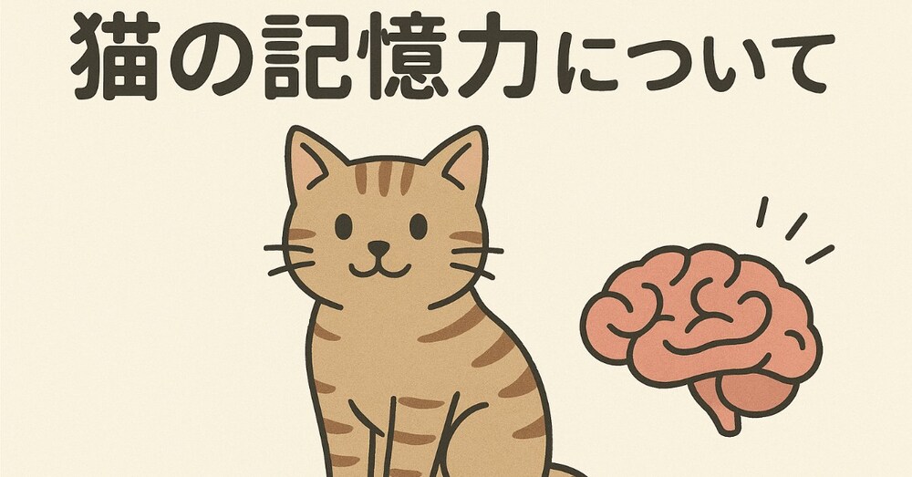 猫の記憶力はすごい！
