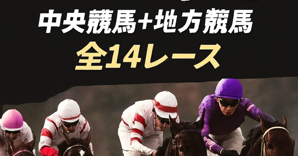 ココナラオリジナル予想セット❗️祝日月曜日完全勝負レース予想❗️中央競馬と地方競馬❗️