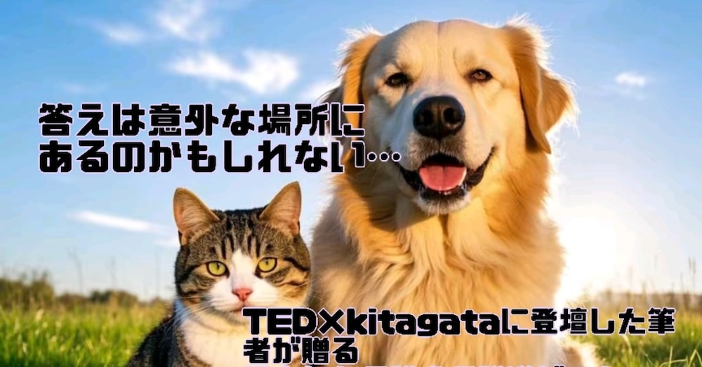 保護犬保護猫がいない世界のためには何をする？