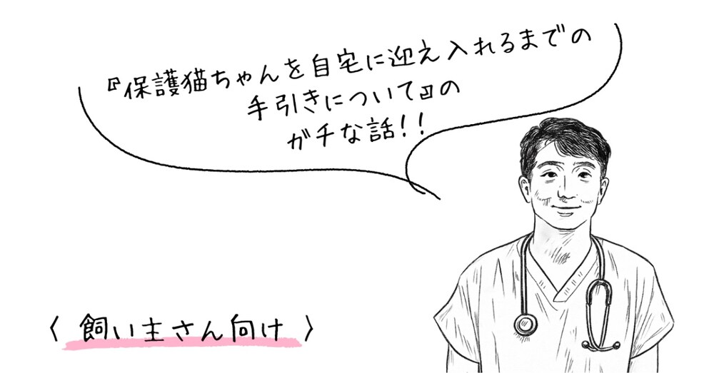 『保護猫ちゃんを自宅に迎え入れるまでの手引きについて』のガチな話！！