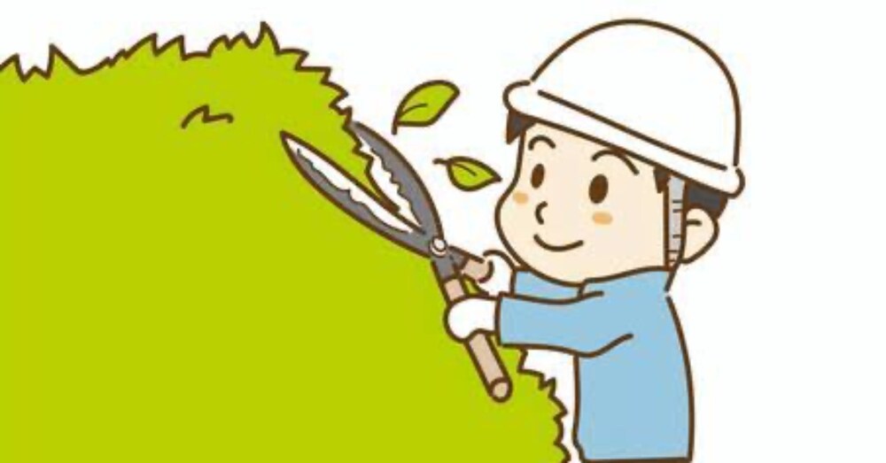 🌳 庭木の基礎剪定マニュアル（初心者向け）✂️