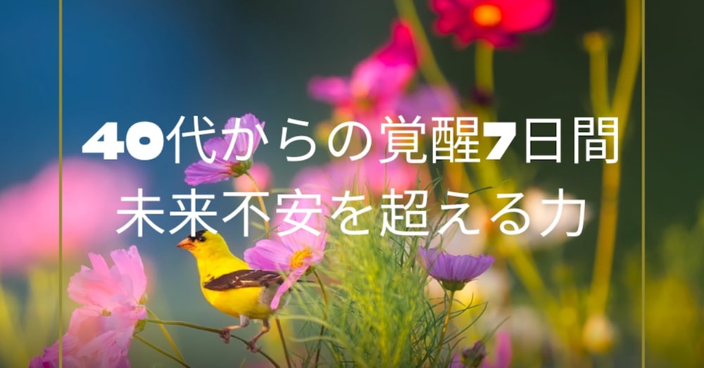 未来が気になりすぎる人へ　
意識の置き場所  覚醒ロードマップ