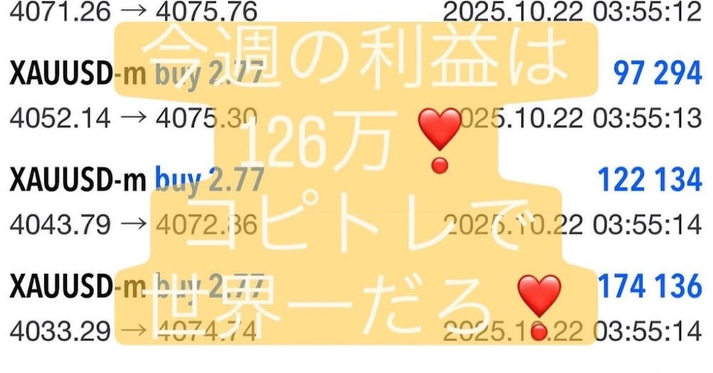 【5万→1000万円】世界1位のプロトレーダーによるコピートレード