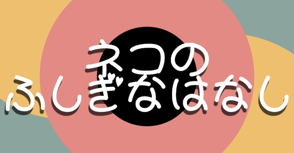 ネコのふしぎなはなし