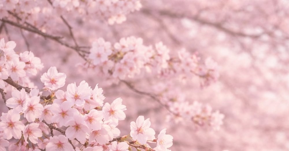 禁断の恋でも復縁できる人には理由がある🌿✨現役占い師が明かす5つの共通点
