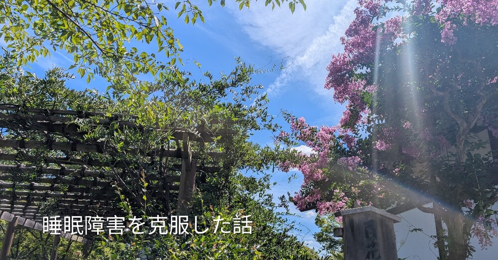 【身体を整える】
ぐっすり眠れるようになった6つの習慣