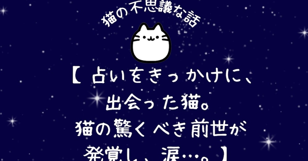 猫の不思議な話【占いをきっかけに出会った猫の驚くべき前世が発覚し、涙…。】