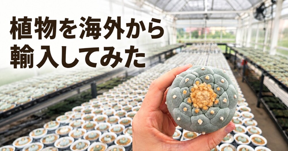 タイから植物を個人輸入した話 ―「怖い」「損する」と思っていたCITES対象種の輸入