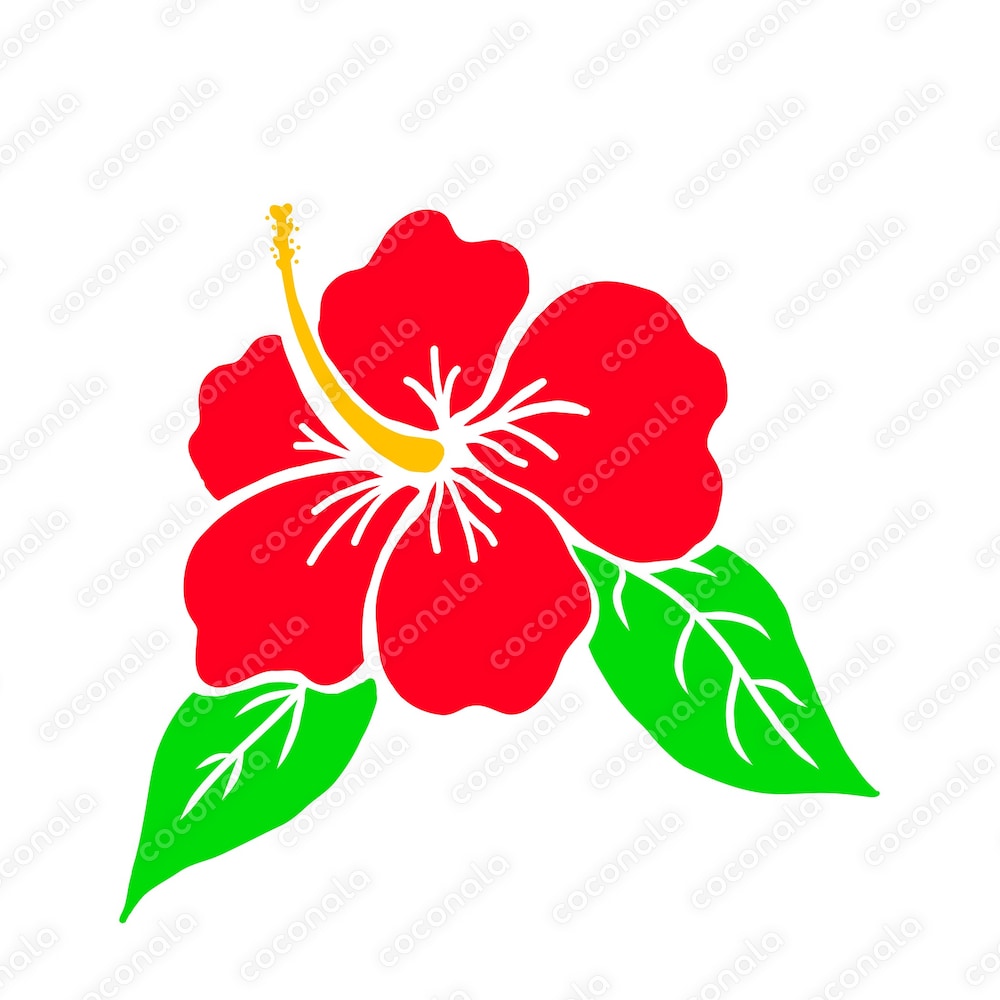 夏に使えるハイビスカス素材