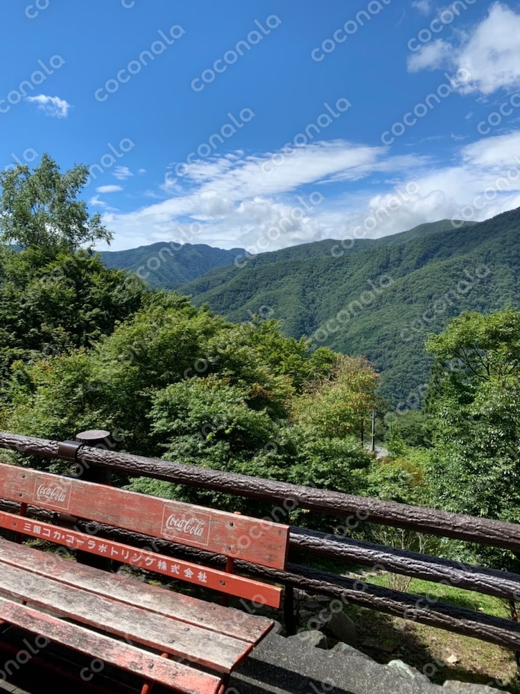 風景画