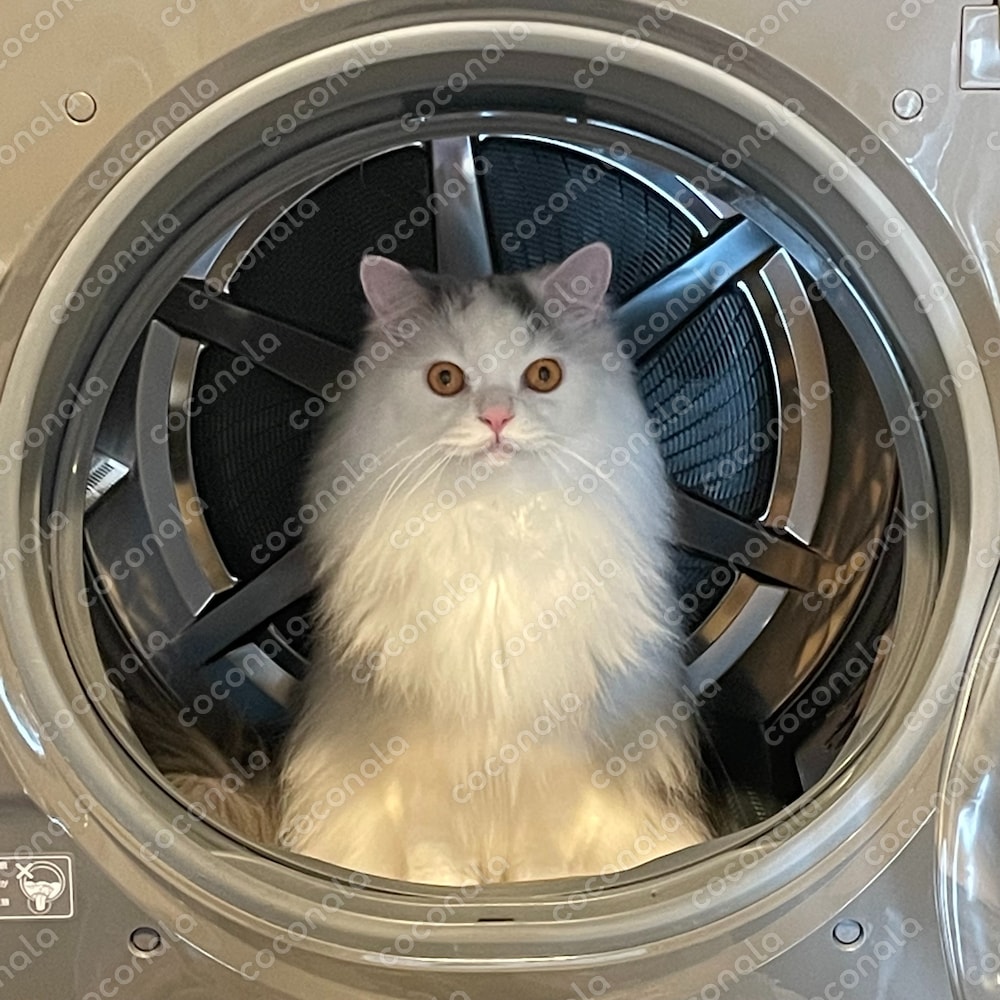 力が欲しいか 。。。！？