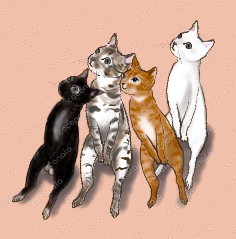 挿絵などに使える猫イラスト