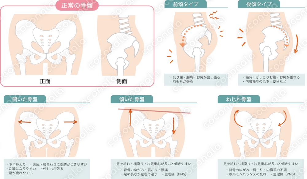 1枚でわかりやすく伝わる！体のシンプルイラスト図説