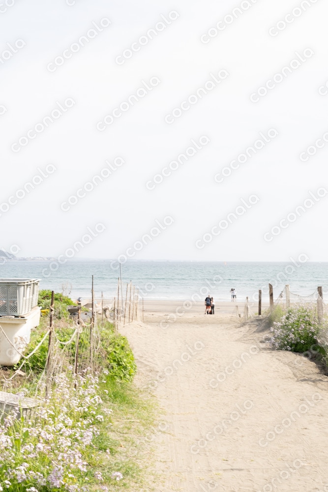 イメージ写真 湘南 海