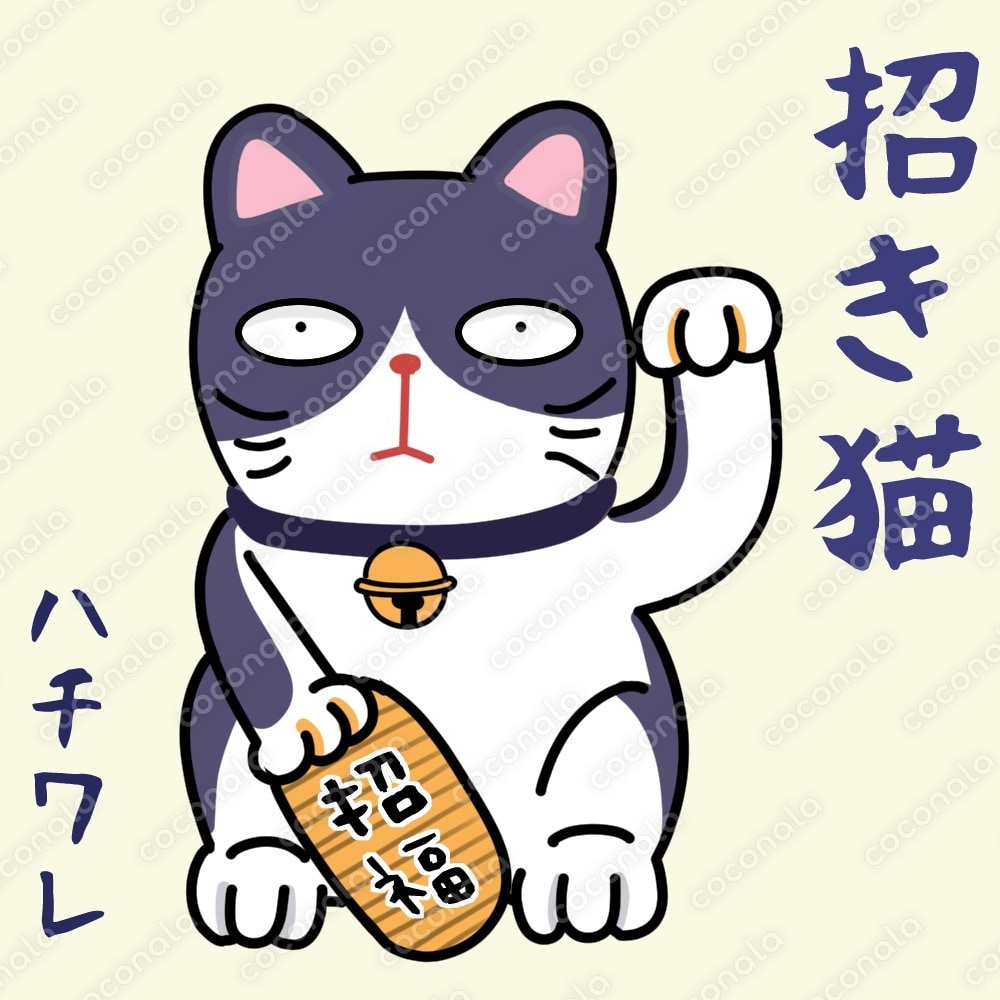 完成品　招き猫　ハチワレ