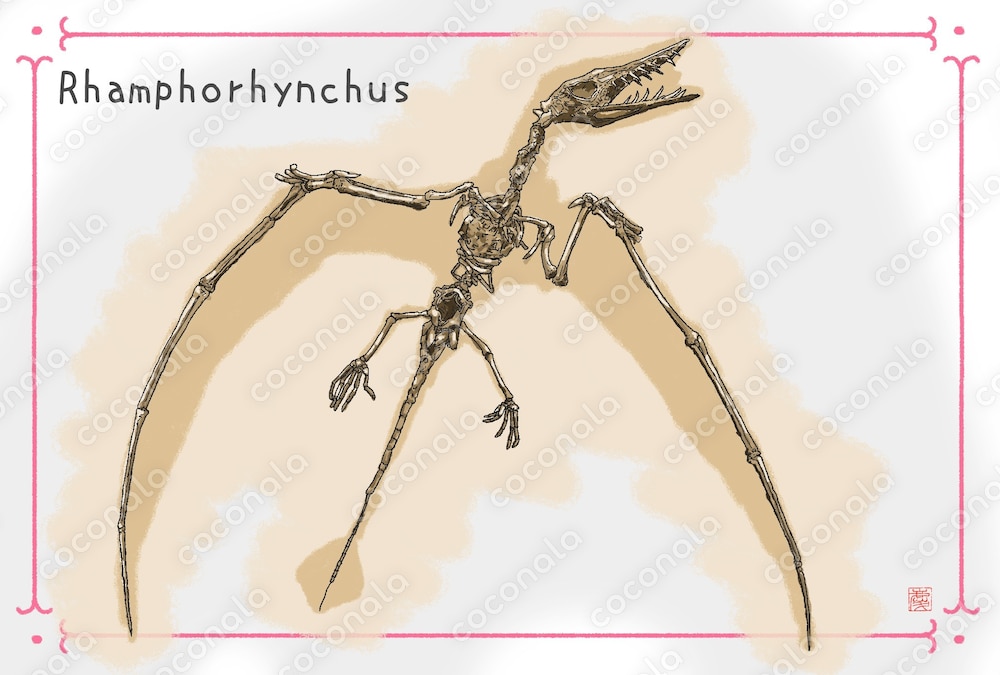 ココナラコンテンツで恐竜の化石のポストカードデータ発売中。｜茄椅菰