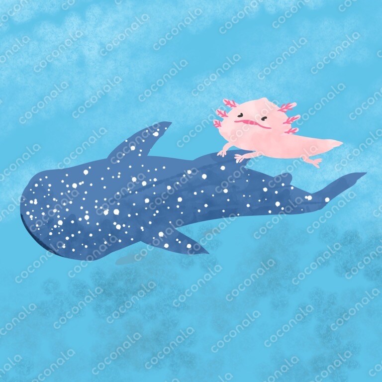 イラスト素材ジンベイザメ捕まえたウーパールーパー