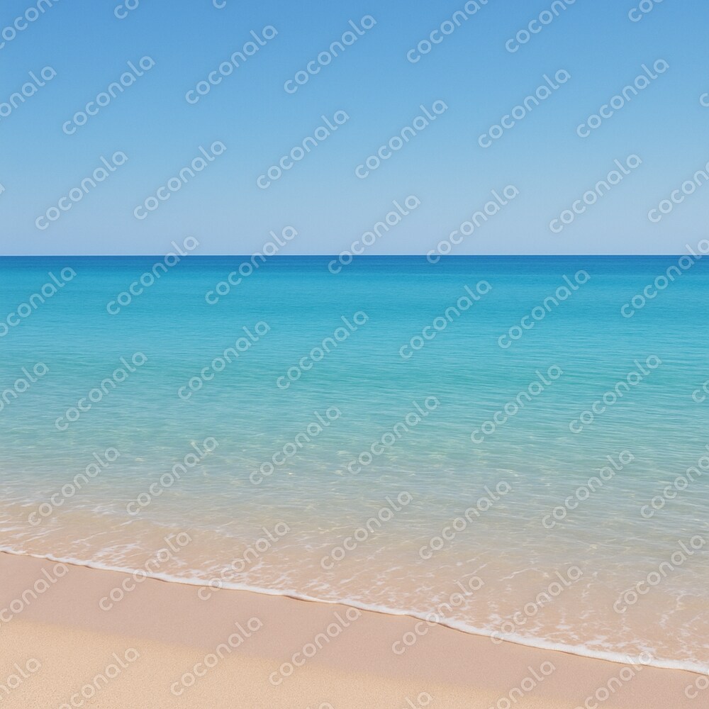 青く広い海