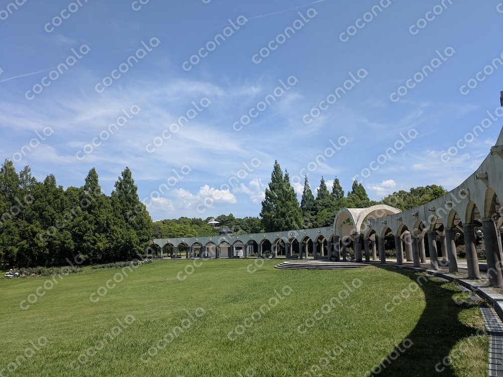 青空と自然公園