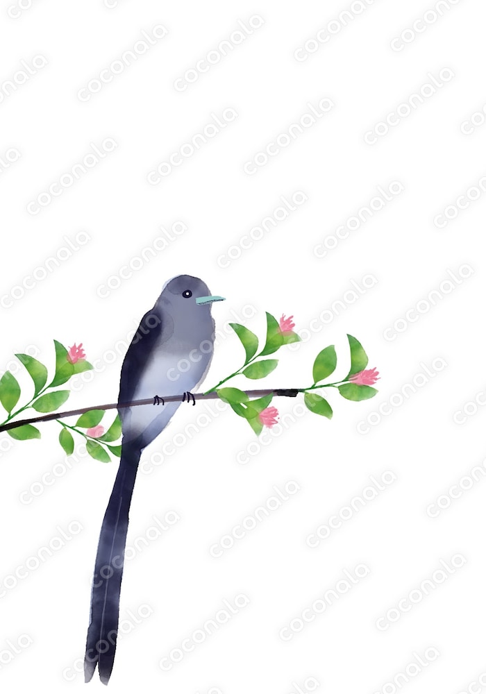 鳥と花