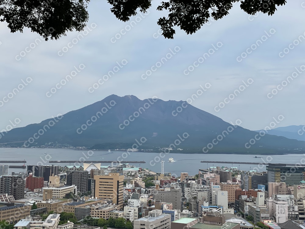桜島(城山展望台)
