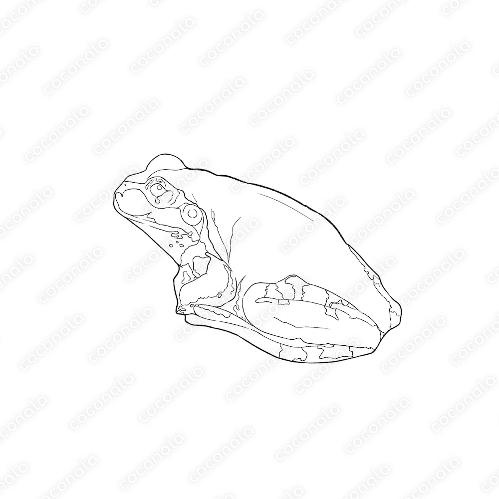 漫画などに使えるカエル線画
