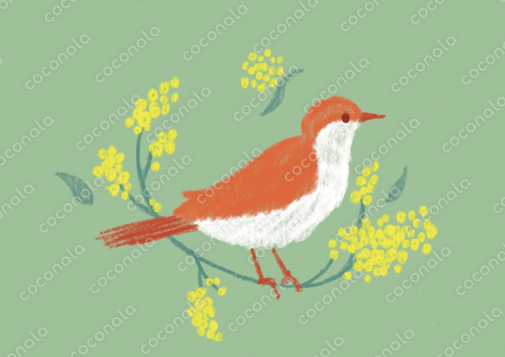 花と鳥のイラスト