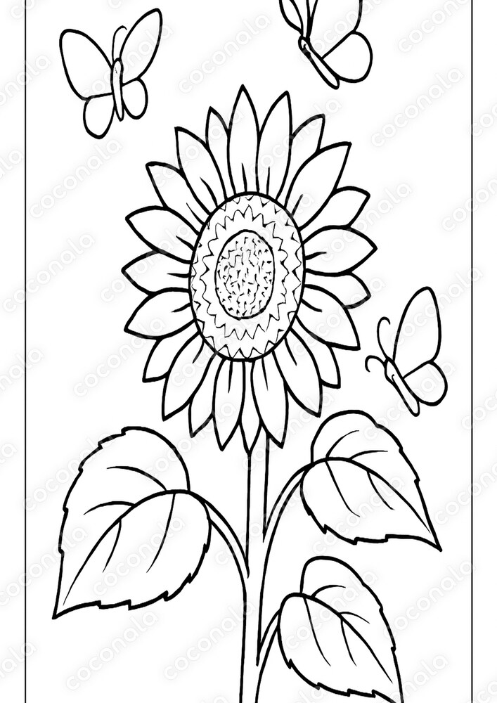 子供やご年配向け簡単塗り絵