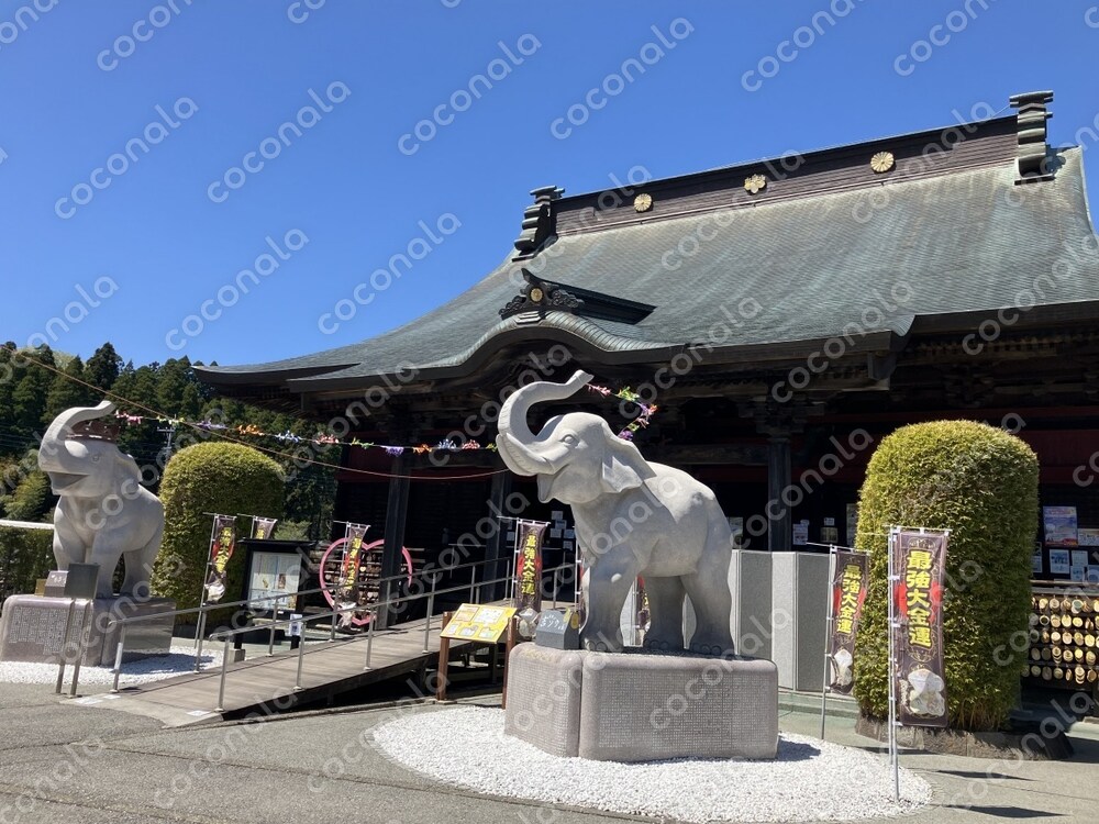 吉ゾウくん　宝くじが当たる神社「長福寿寺」　