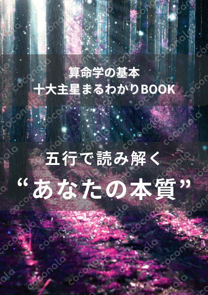 算命学　十大主星まるわかりBOOK
