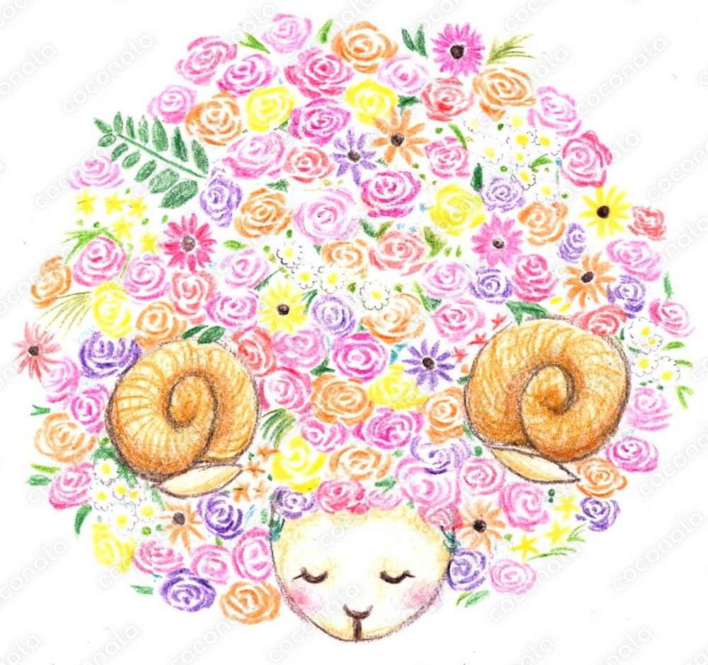 花羊