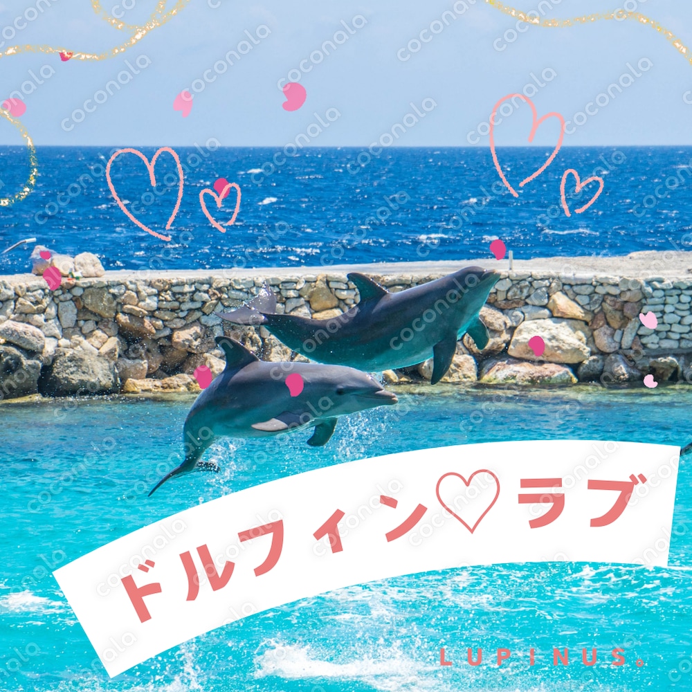 ドルフィンラブ♡ヒーリングマニュアルPDFのみ