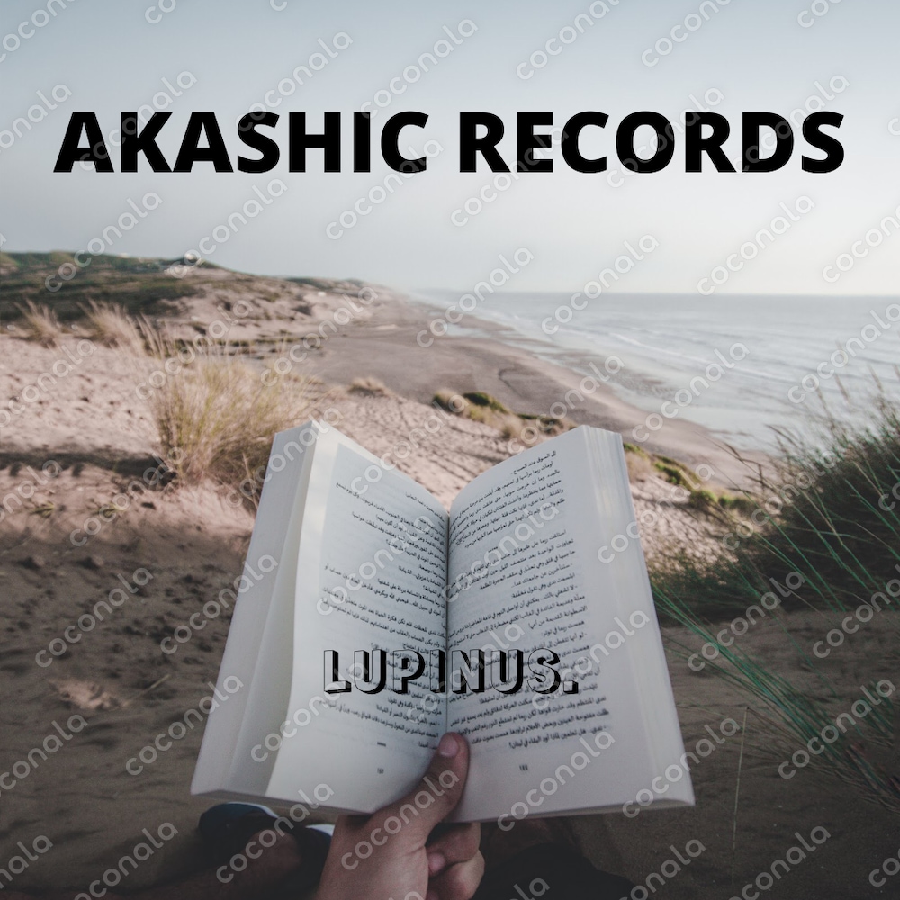 アカシックレコード♡マニュアルPDFのみ