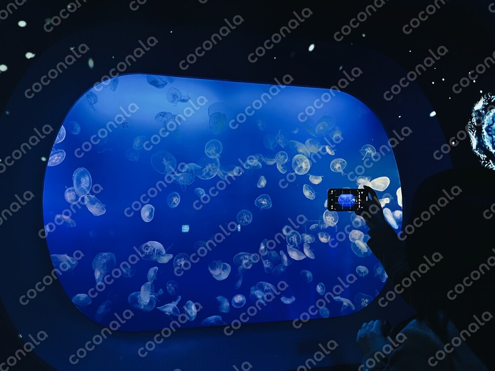 水族館