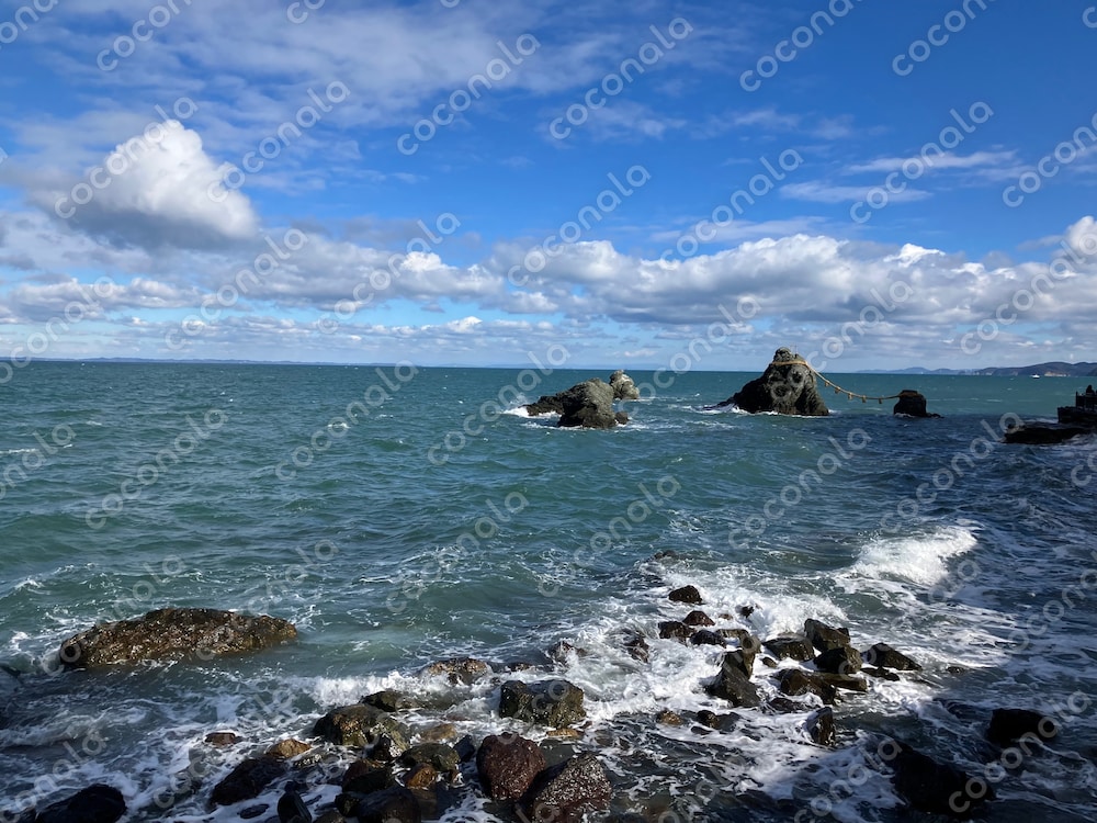 海その他