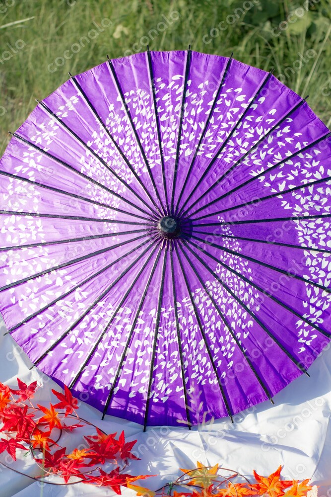 和傘ともみじ