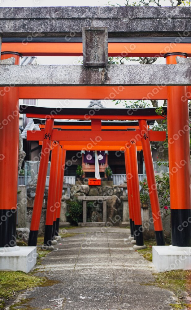 たくさんの鳥居が並ぶ神社