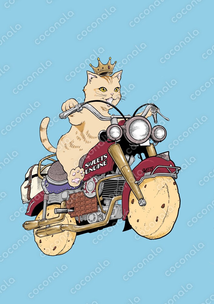 スイーツバイクに乗った猫