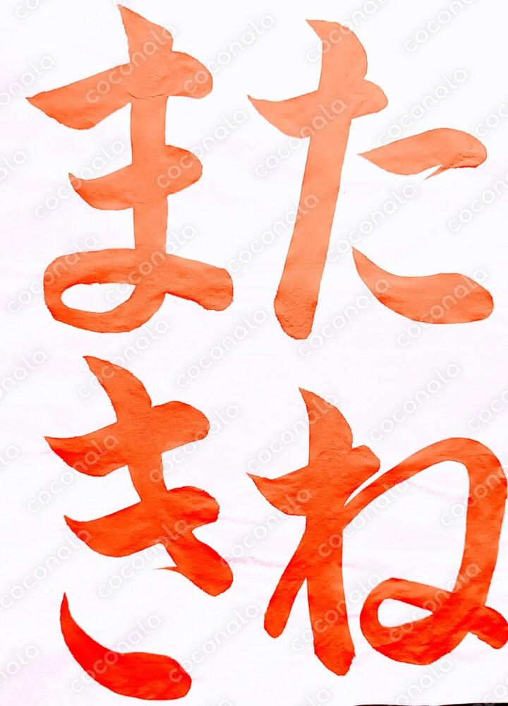 書道手本　たねまき　朱墨　書写　習字練習