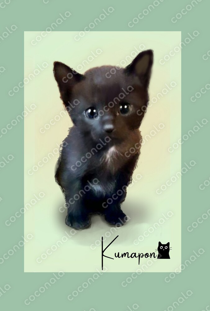 黒の子猫のイラスト