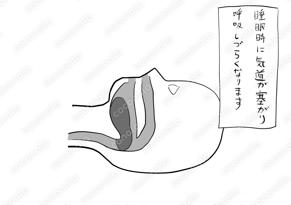 イラスト単体