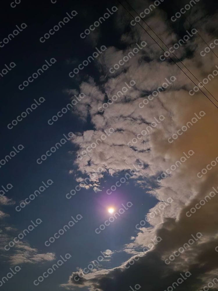 夜空に月と雲