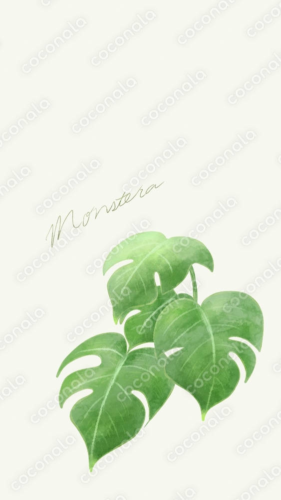 スマホ用壁紙【モンステラmonstera（水彩風）】