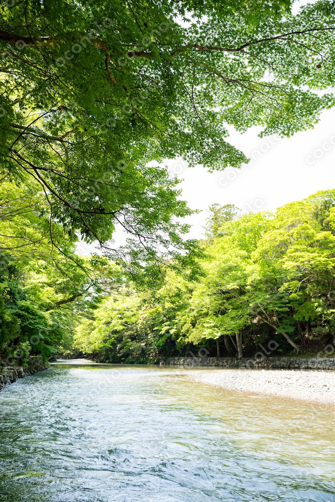 新緑と川と