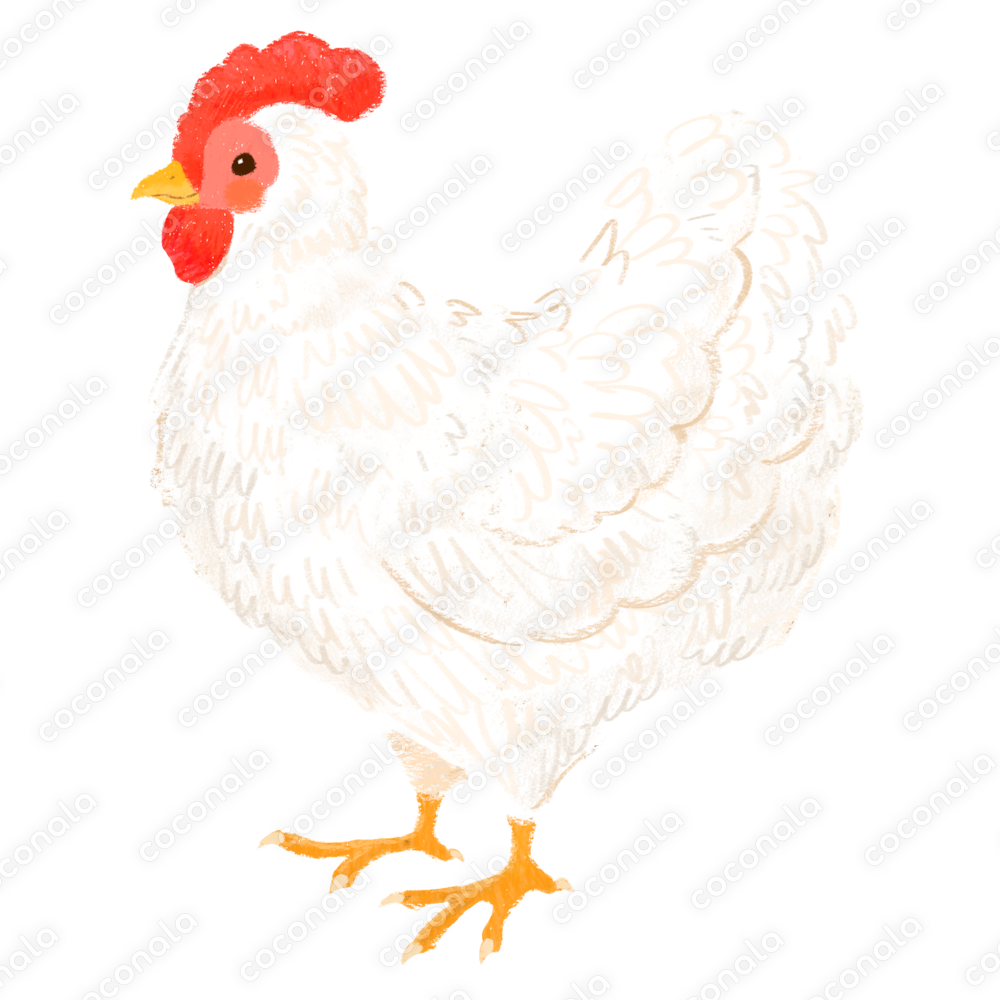可愛い手描きのニワトリのイラスト