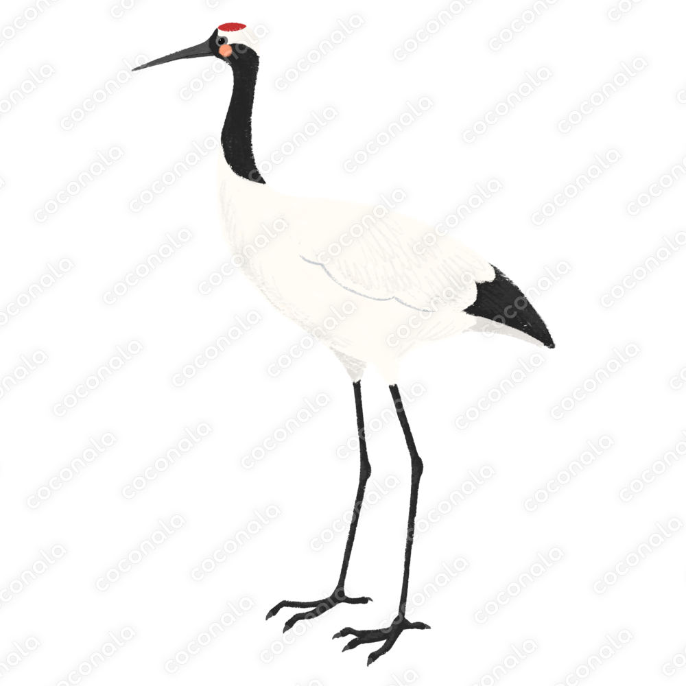 手描きの可愛いツルのイラスト