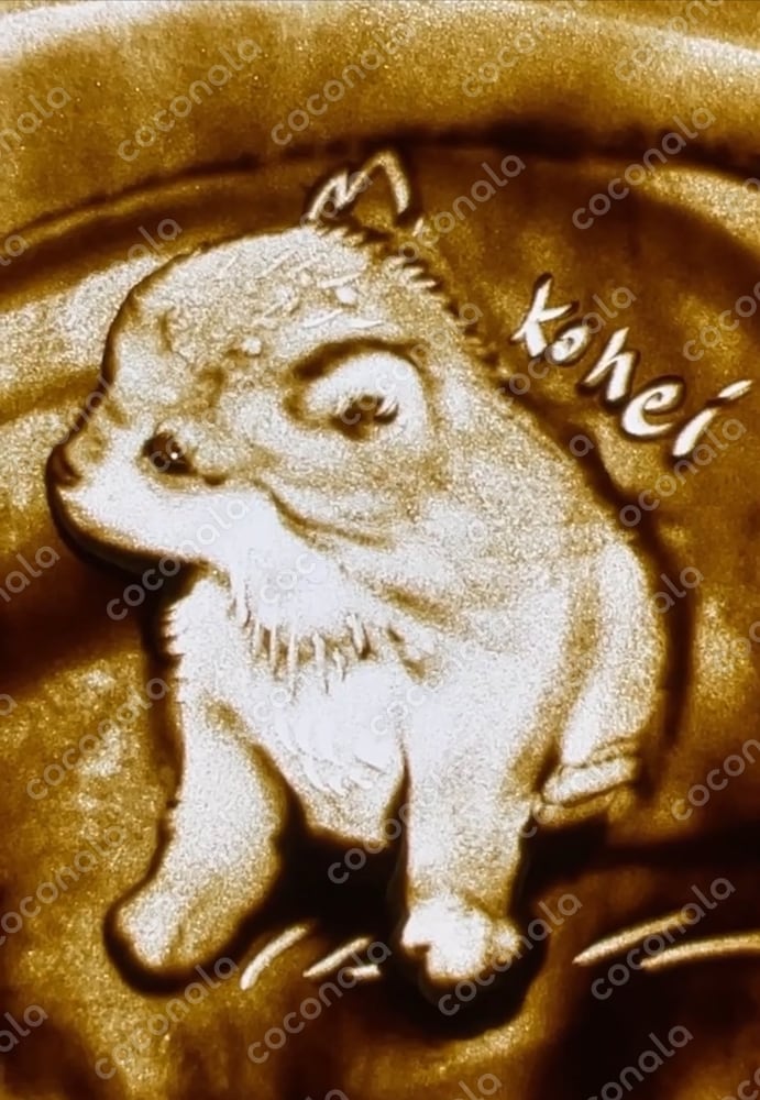 珍しいサンドアートで描かれた子犬